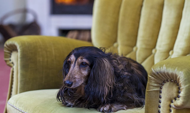 Willa Carlton - salon i czytelnia